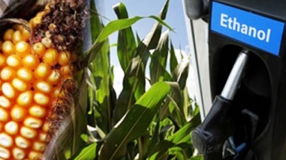 Etanol: Milho dos EUA ameaça domínio da cana brasileira no Japão 