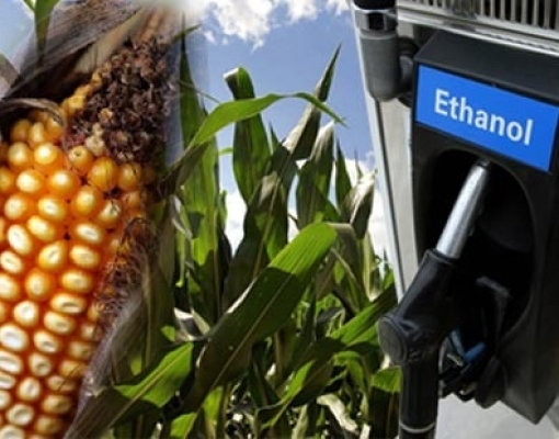 Etanol: Milho dos EUA ameaça domínio da cana brasileira no Japão 