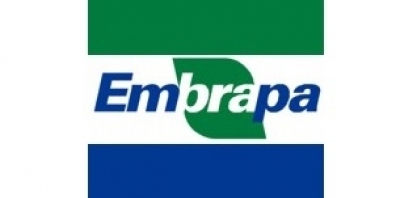 Embrapa vai cortar 20% do quadro para reduzir custos 