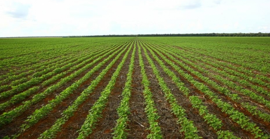 Agricultura de precisão domina a produção de soja na região de Sorriso (MT)
