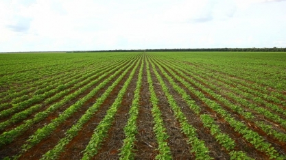 Produtividade do Paraná cresce com uso de tecnologia 