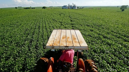 Cadeia produtiva reivindica uma política plurianual 