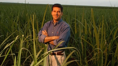 Agroecologia aponta caminhos pata os sistemas convencionais 