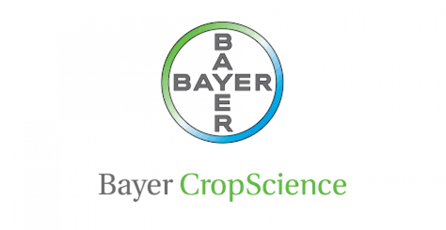 Bayer estuda vender mais ativos por acordo com Monsanto