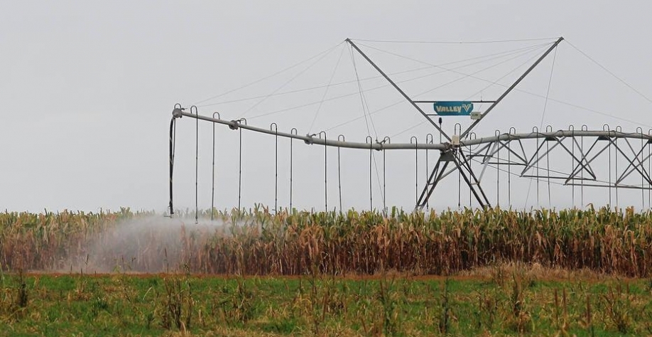 Em Cristalina, cultivos de frutas e de grãos, como milho irrigado, modificam paisagem e trazem mais renda