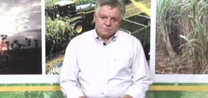 Brasilagro 391 - Paulo Gallo