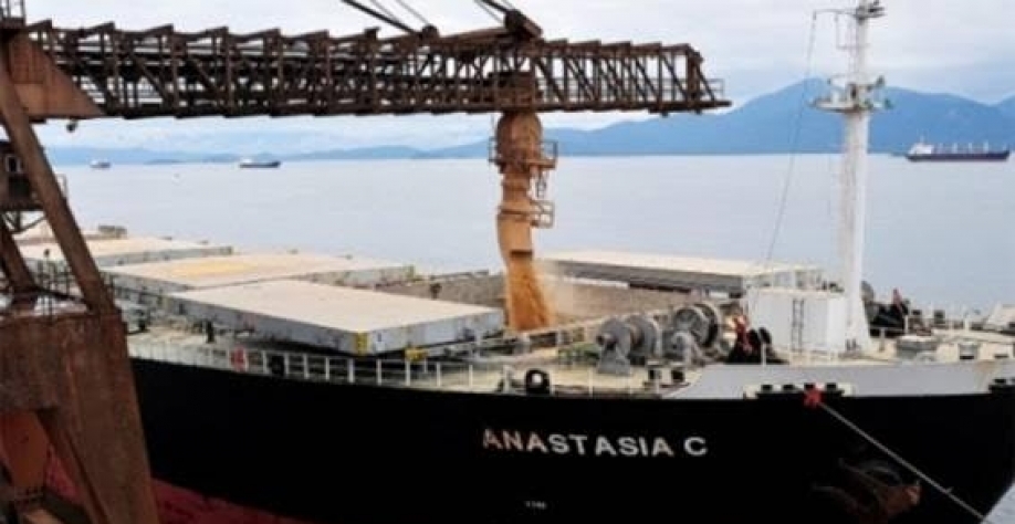 Anec vê resultados ruins no setor de grãos apesar de exportações recordes no país