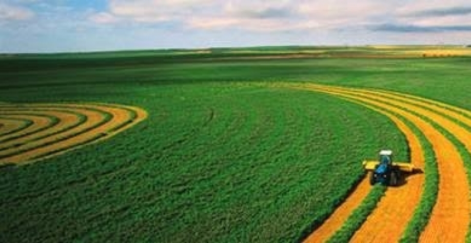 Ministério reduz estimativa para valor da produção no campo em 2018