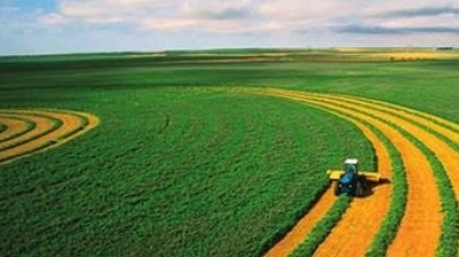 Ministério reduz estimativa para valor da produção no campo em 2018