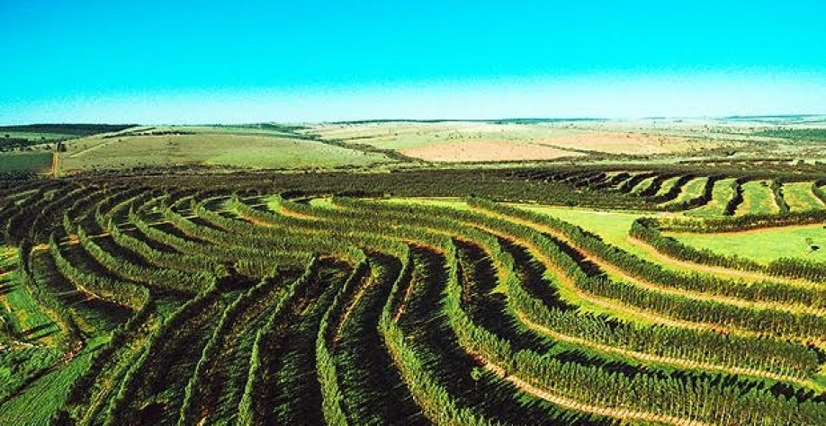 Fazenda Uberaba, que aplica o método ILPF (Integração Lavoura Pecuária Floresta)