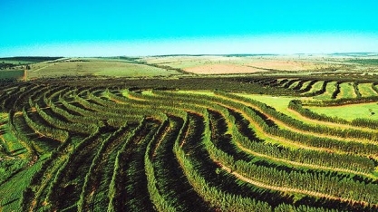 Projeto de agricultura libera verbas, mas não controla resultados  