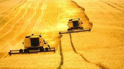 Pesquisa inédita: cidade tem orgulho do agro