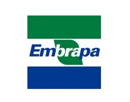 Embrapa na mira dos chineses   