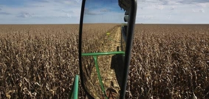 Estoque pode compensar produção menor de milho