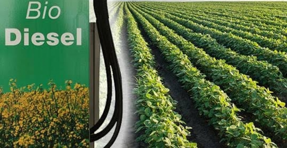 Biodiesel eleva moagem de soja para 43 milhões de toneladas em 2018