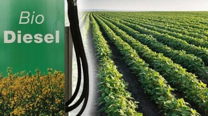 Biodiesel eleva moagem de soja para 43 milhões de toneladas em 2018