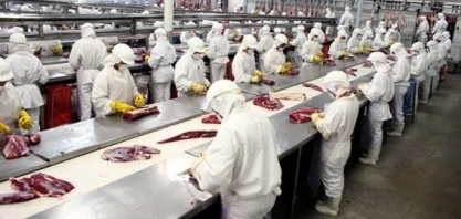 Consumo doméstico ajuda a impulsionar ações de frigoríficos