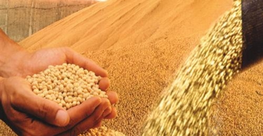 Soja em grãos bate recorde de volume exportado em novembro