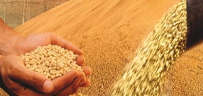Soja em grãos bate recorde de volume exportado em novembro
