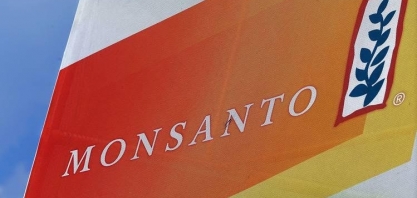 Ano que vem será desafiador, afirma gigante das sementes  