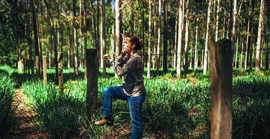 Maria Fernanda Guerreiro, agrônoma e responsável pelo Sítio Nelson Guerreiro, que aplica método ILPF