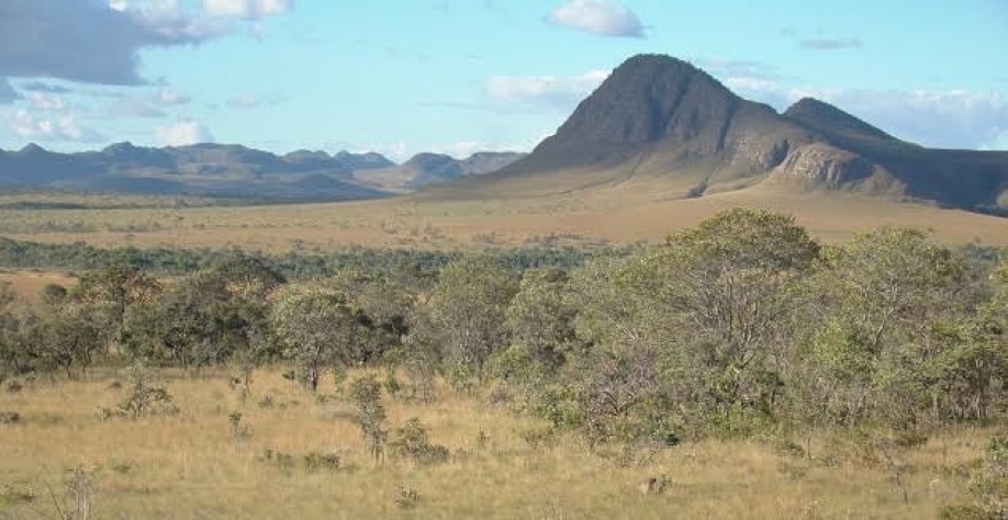 Estudo mostra soja plantada no cerrado em áreas de alto ou médio risco produtivo