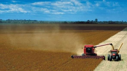 Safra de grãos menor em 2018, mas ainda elevada  
