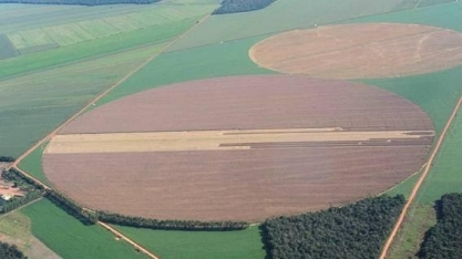Estrangeiros acham saída para investir em terras