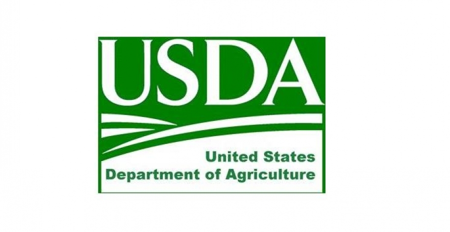 USDA eleva previsão para estoques finais de soja e trigo dos EUA 