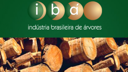 Produção de celulose cresce 3,3% em 2017  