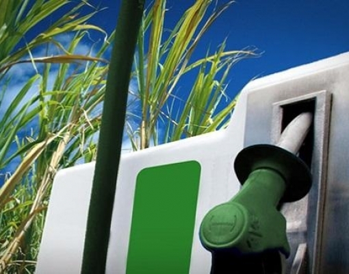 Safra 17/18 no Centro-Sul deve fechar com estoque de etanol até 21% menor