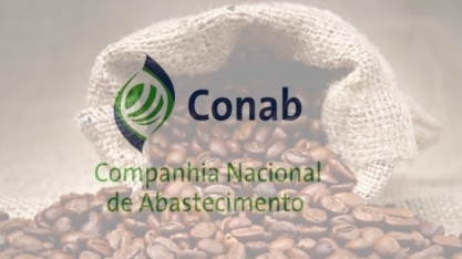 Brasil aumenta renovação de cafezais 