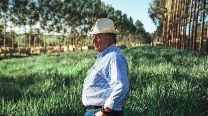 Pecuarista usa mandioca para recuperar pastagens degradadas 