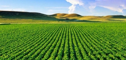 Pesquisa traça cenário favorável para o agronegócio brasileiro  