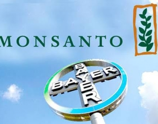 Bayer e Monsanto reforçarão aposta em tecnologia digital