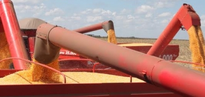 Área plantada vai cair em 2018, e preço de alimento poderá subir