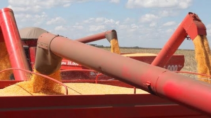 Área plantada vai cair em 2018, e preço de alimento poderá subir