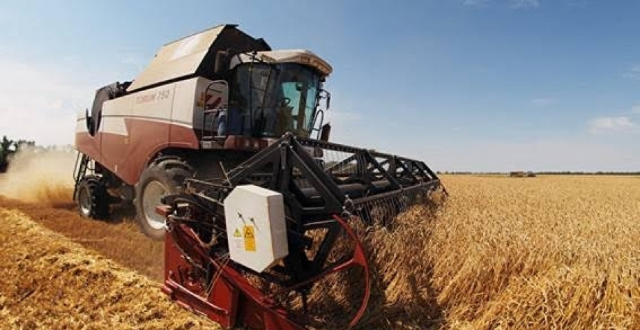 Brasil autoriza importação de trigo russo por moinhos do Norte e Nordeste  