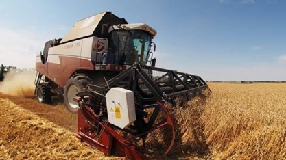 Brasil autoriza importação de trigo russo por moinhos do Norte e Nordeste  