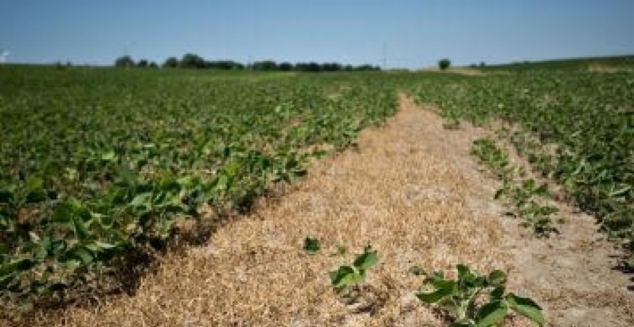 Terras ociosas revelam dimensão da crise agrícola na Venezuela 