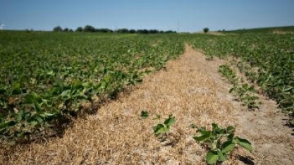 Terras ociosas revelam dimensão da crise agrícola na Venezuela 