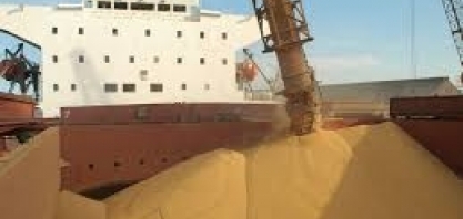 Commodities de exportação em ritmo de queda  