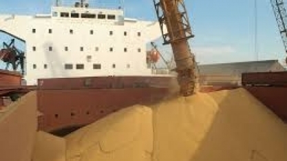 Commodities de exportação em ritmo de queda  