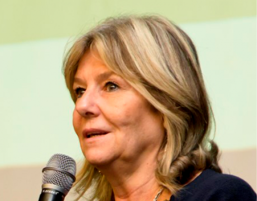 Desempenho comercial surpreende em 2017  - Por Heloisa Lee Burnquist