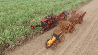 Cultivo de cana movimenta R$ 100 bi e cria ‘28º Estado’ 