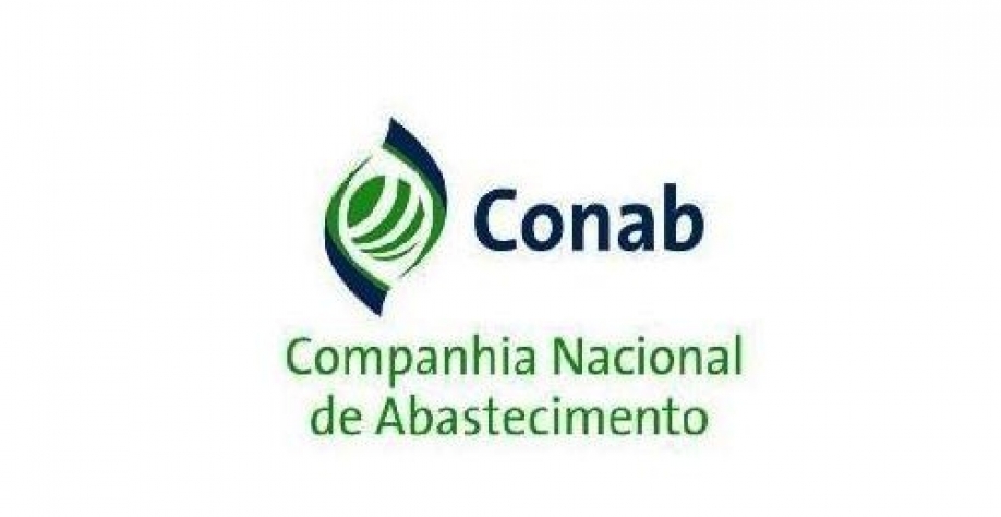 Safra de grãos chega a 228 milhões de toneladas com crescimento de área