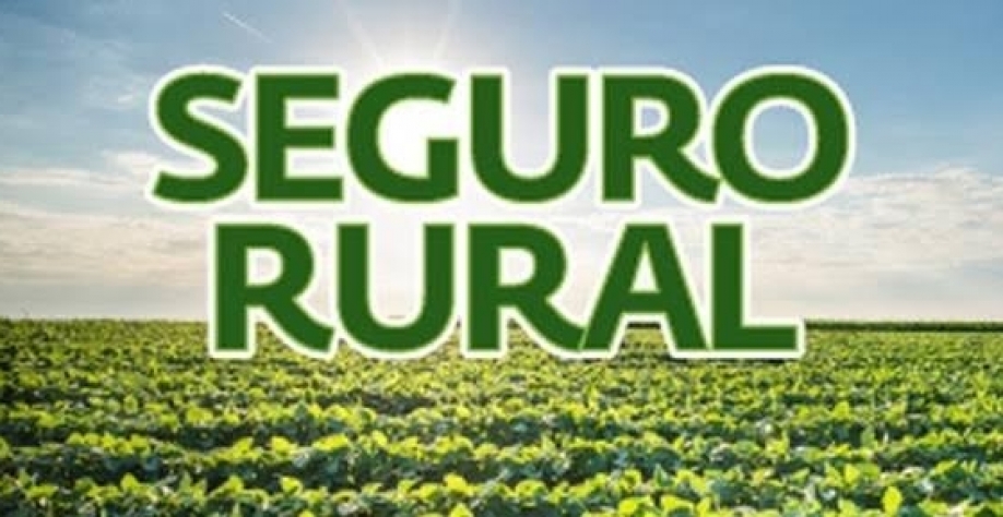Governo quer unificar recurso para seguro rural