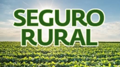 Governo quer unificar recurso para seguro rural