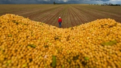 Participação da soja brasileira em importações da China atinge recorde em 2017 