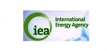 Brasil vai liderar alta na oferta de petróleo fora da Opep, diz AIE